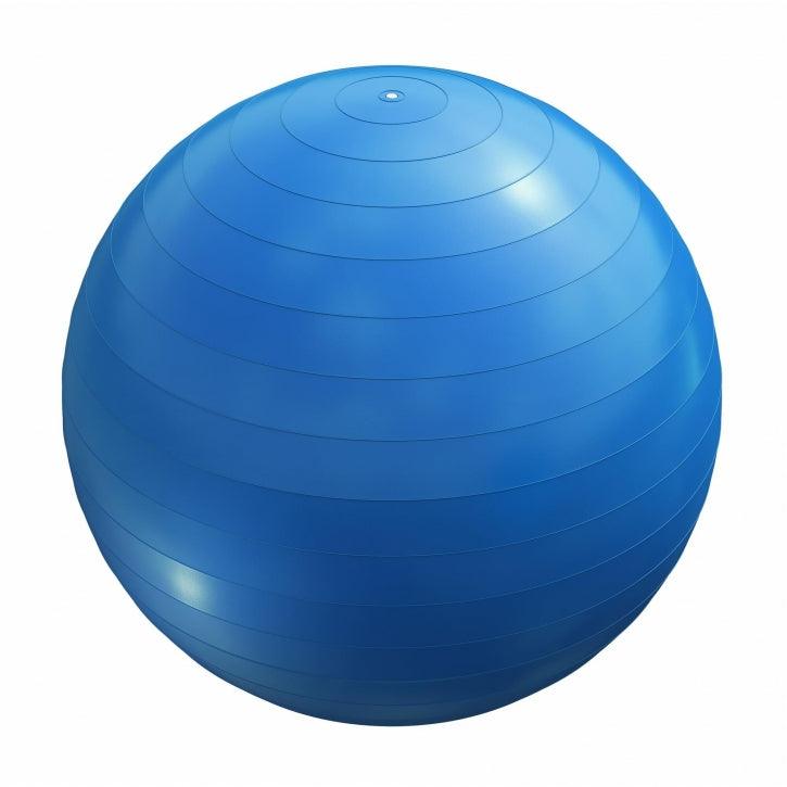 Gymnastikball Fitness Sitzball ⌀55 cm - Gorilla Sports Schweiz