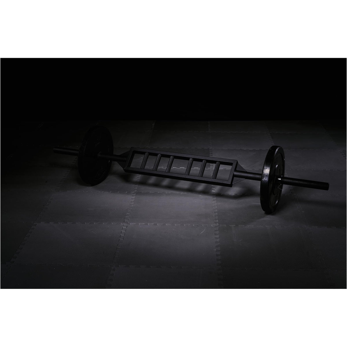 Swiss Bar 50/51 mm - Gorilla Sports Schweiz
