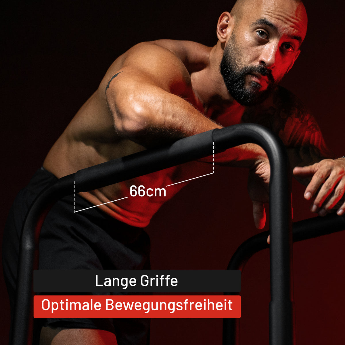 Barres de trempage Push Up Stand Noir/Rouge/Bleu