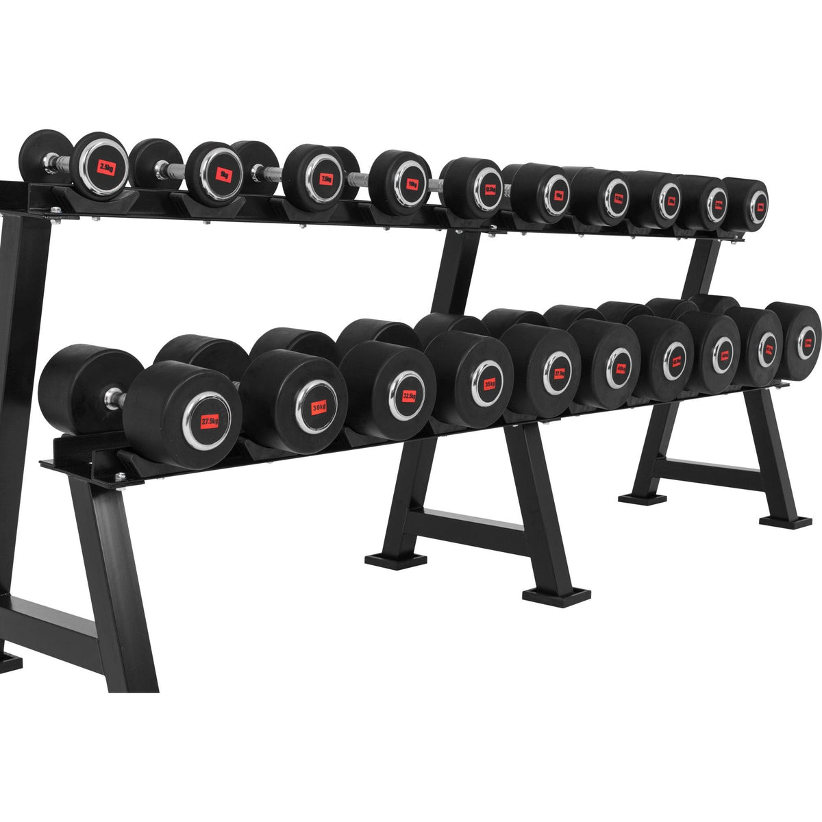 Kurzhantelablage Schwarz - Gorilla Sports Schweiz